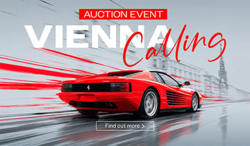 Auction Event in Vienna