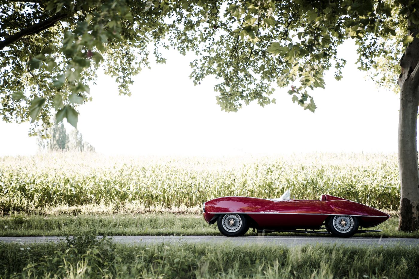 Alfa Romeo Disco Volante – Make way for one of Alfa's wildest
